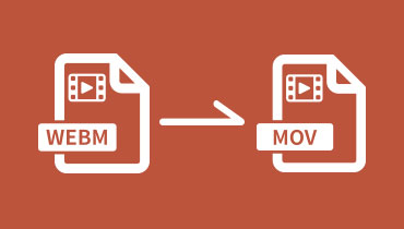 Convertir WebM en MOV