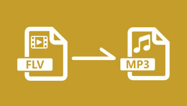 Convertir FLV en MP3