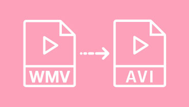 Top 5 des convertisseurs WMV en AVI pour Windows et Mac