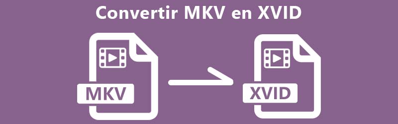 Convertir MKV en Xvid