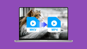 Les 5 meilleures façons de convertir MKV en MP4 en ligne ou hors ligne