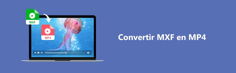 Convertir MXF en MP4