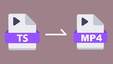 Comment convertir des fichiers TS en MP4 de haute qualité