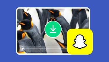 Comment télécharger la vidéo Snapchat sans filigrane sur Bureau/Mobile