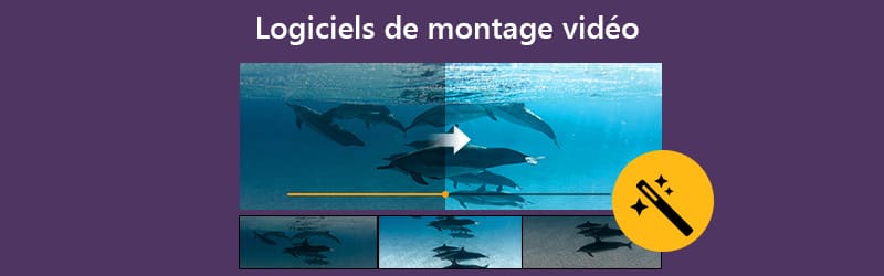 Logiciels de montage vidéo