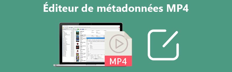 Éditeurs de métadonnées MP4