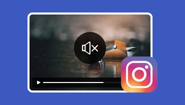 Pourquoi la vidéo Instagram n'a plus de son et comment le réparer ?