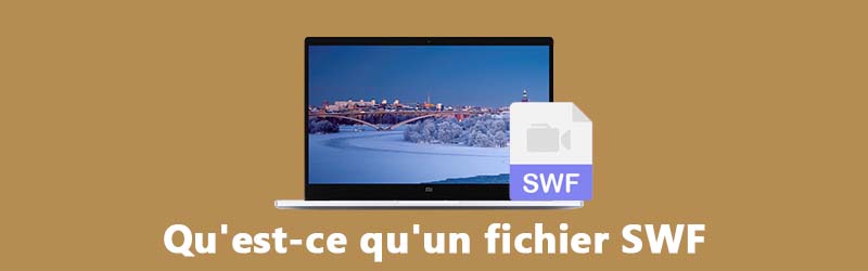 Qu'est-ce que SWF